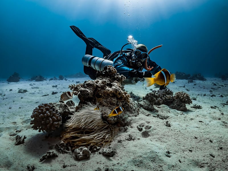 Scuba Diver Underwater